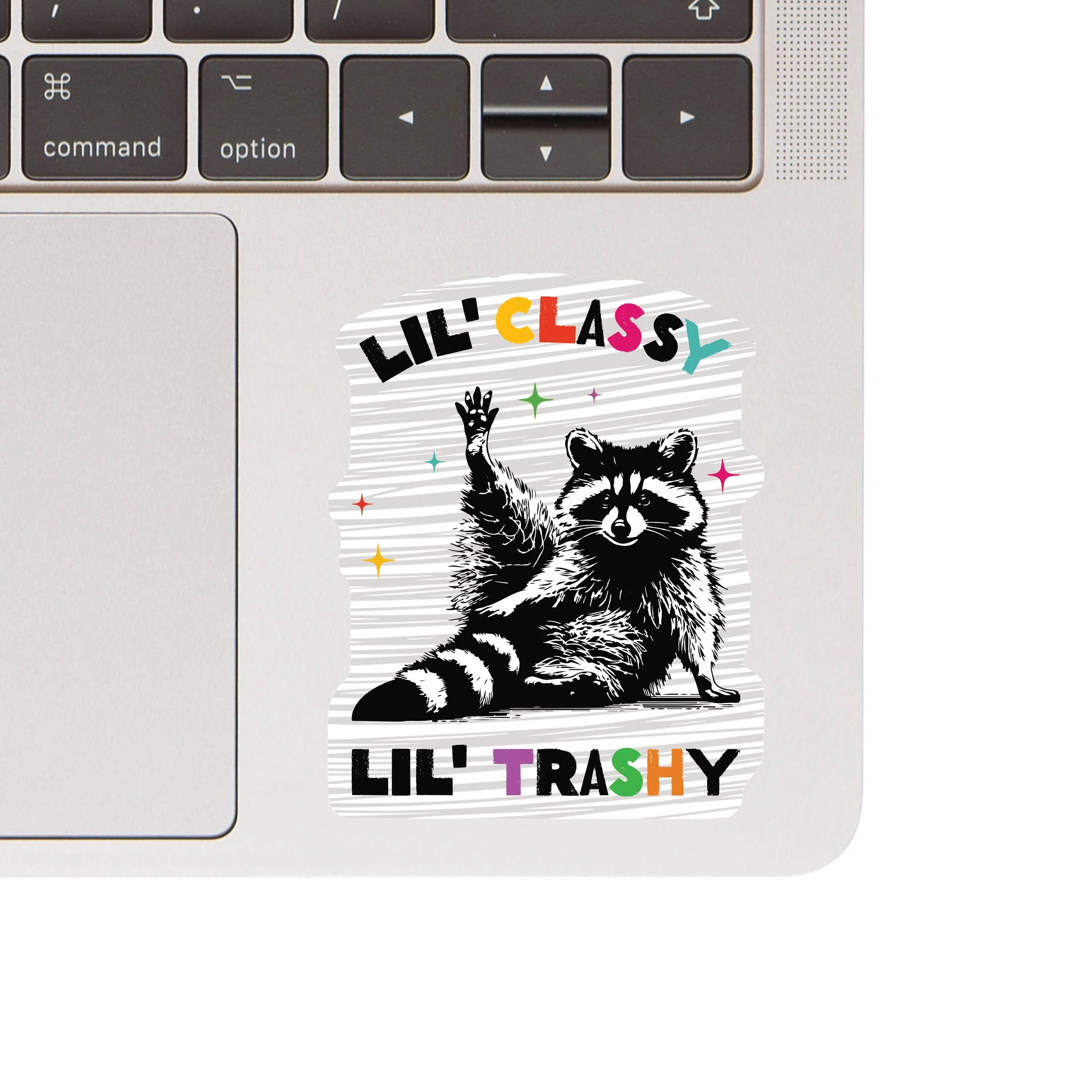 Cute Funny Classy Trashy Raccoon High Quality Vinyl Sticker - Image 2