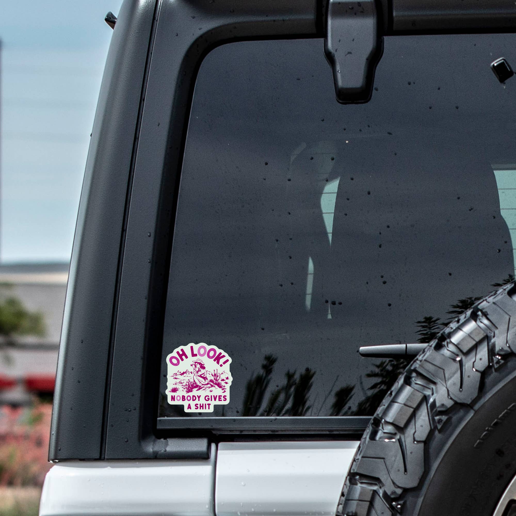 Funny Swear Cowgirl Nature Shit High Quality Vinyl Sticker - Image 4