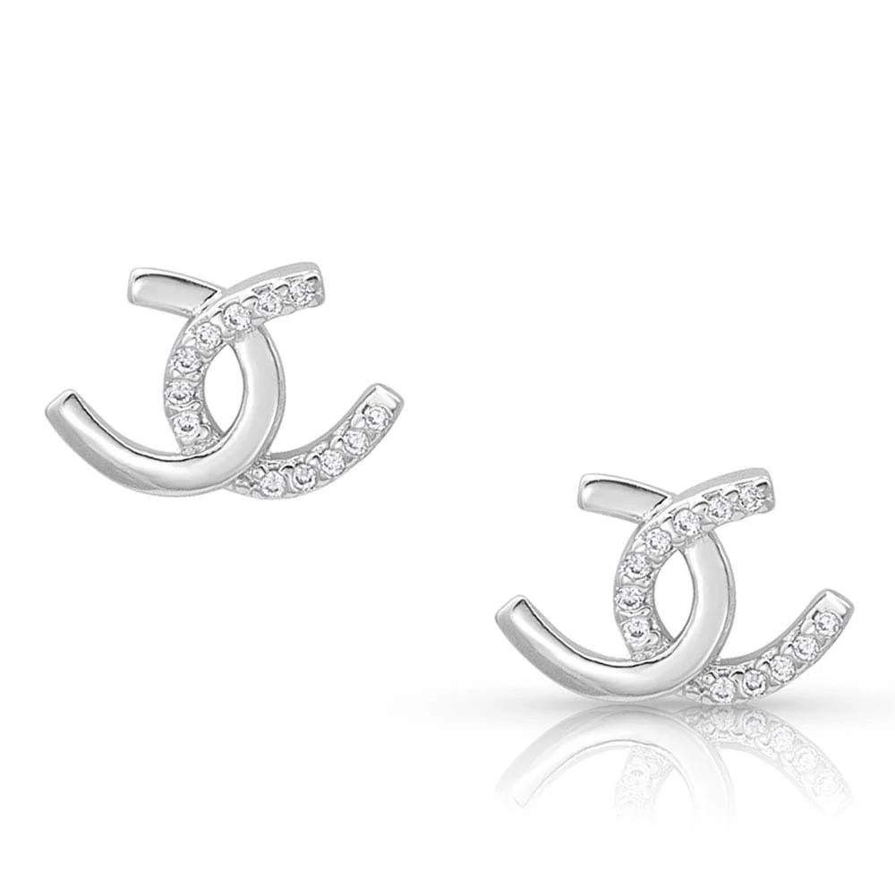 Horseshoe Happiness Post Earrings - ER4505 - Image 2