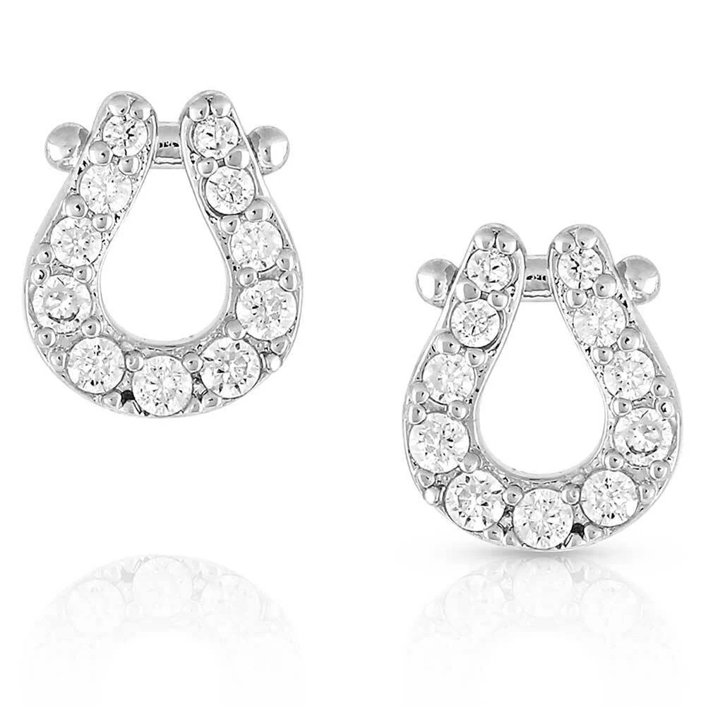 Infinite Luck Earrings- ER5157