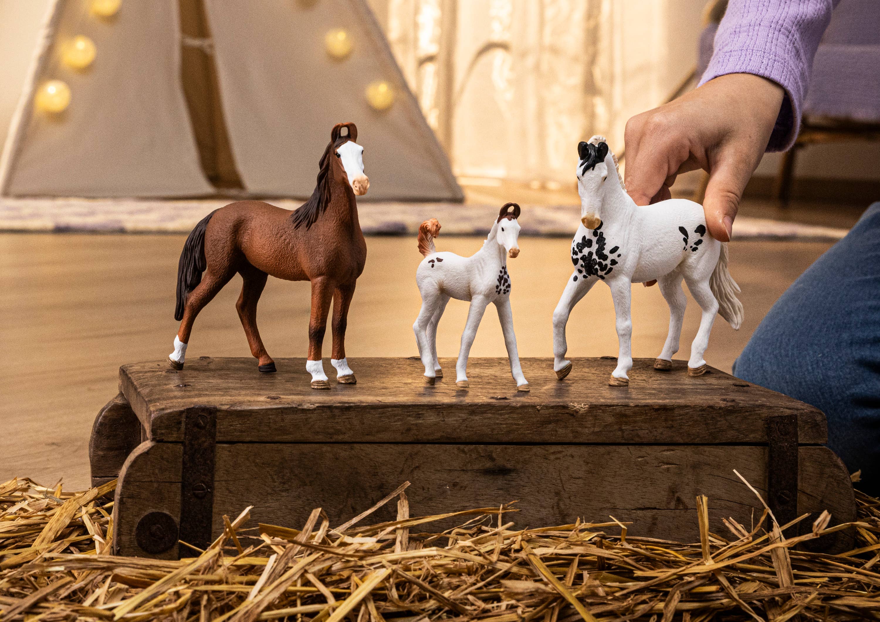 Marwari Stallion - Image 3