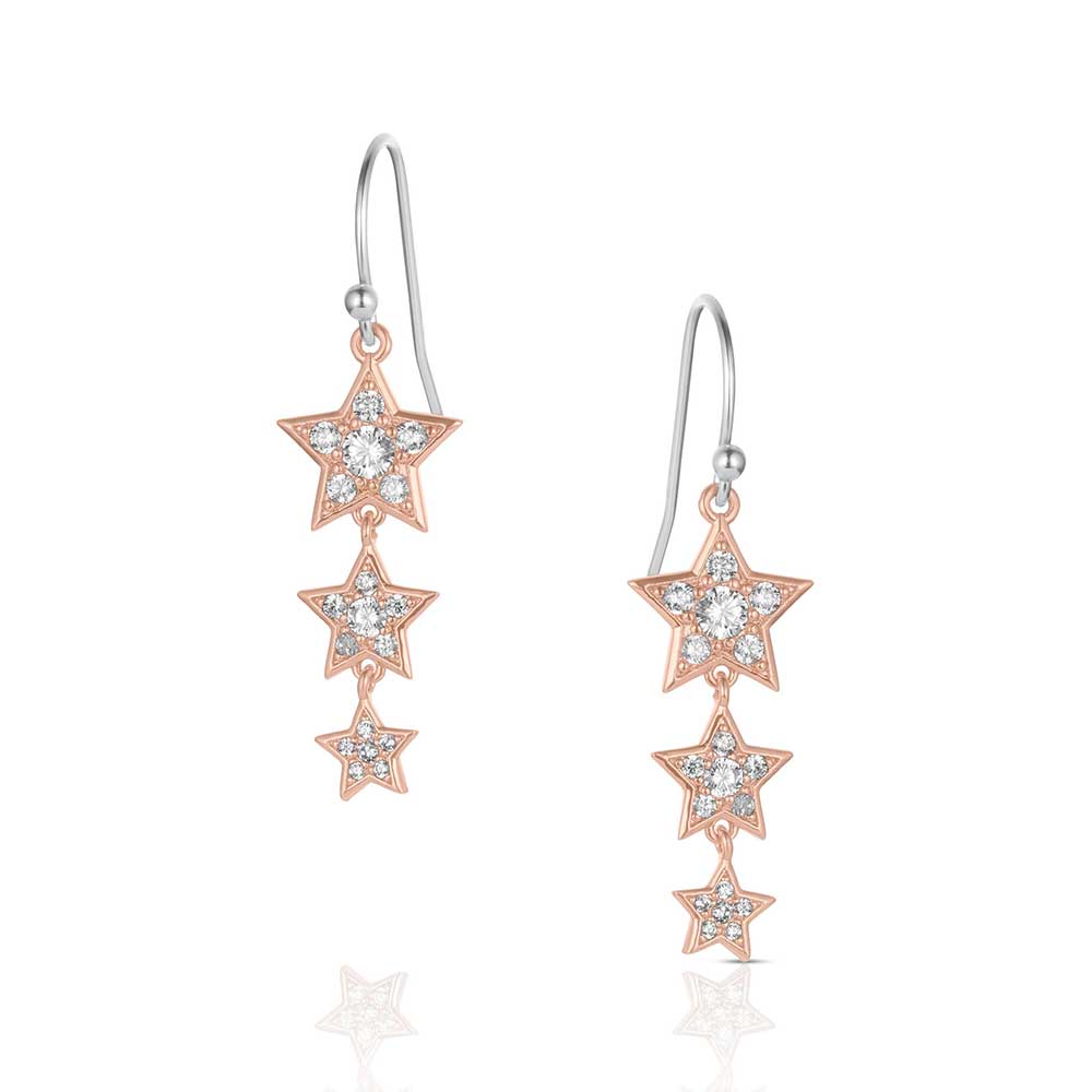 Montana Silversmiths Trio of Wishes Earrings ER6311