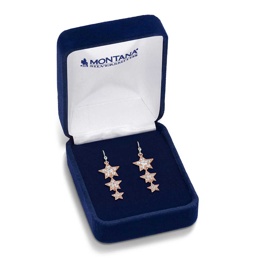 Montana Silversmiths Trio of Wishes Earrings ER6311 - Image 2