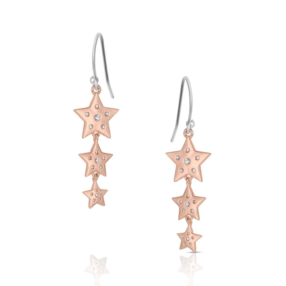 Montana Silversmiths Trio of Wishes Earrings ER6311 - Image 3