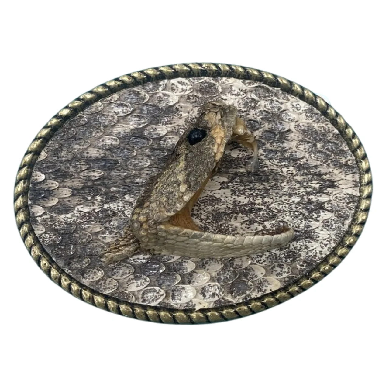 Single Half Head Inlay Western Rattlesnake Buckle By Skin Shop 115 Single