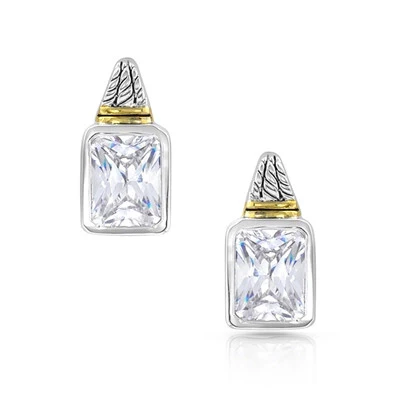 Two Tone Brilliance Earrings by Montana Silversmith ER4733